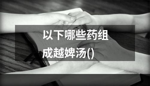 以下哪些药组成越婢汤()