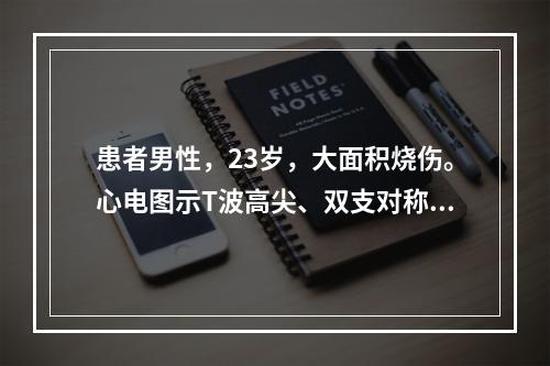 患者男性，23岁，大面积烧伤。心电图示T波高尖、双支对称、基