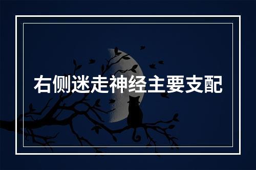 右侧迷走神经主要支配