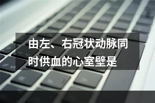 由左、右冠状动脉同时供血的心室壁是