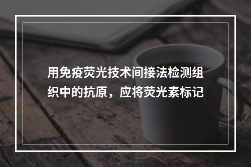 用免疫荧光技术间接法检测组织中的抗原，应将荧光素标记