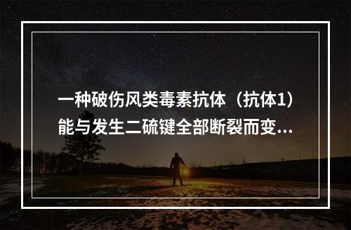 一种破伤风类毒素抗体（抗体1）能与发生二硫键全部断裂而变性的