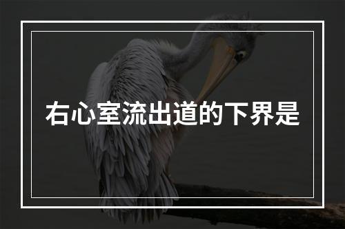 右心室流出道的下界是