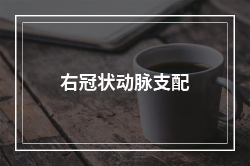 右冠状动脉支配