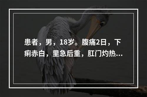 患者，男，18岁。腹痛2日，下痢赤白，里急后重，肛门灼热，口