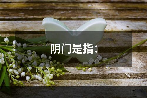 阴门是指：