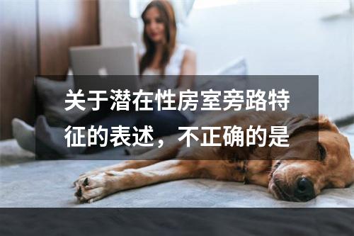 关于潜在性房室旁路特征的表述，不正确的是