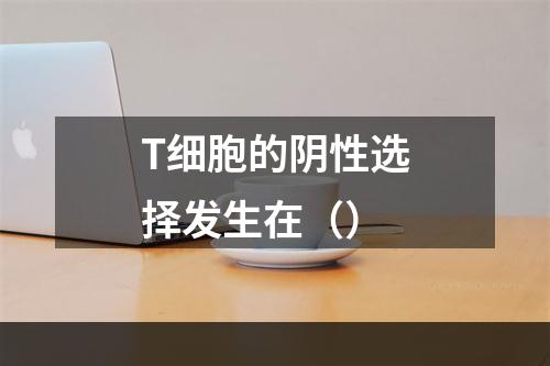 T细胞的阴性选择发生在（）