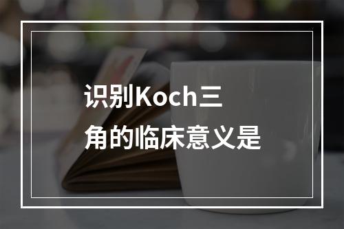 识别Koch三角的临床意义是