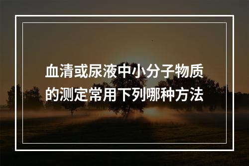 血清或尿液中小分子物质的测定常用下列哪种方法