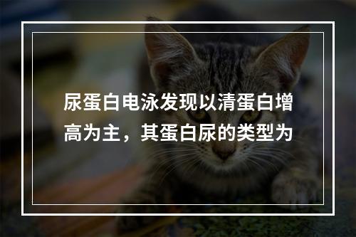 尿蛋白电泳发现以清蛋白增高为主，其蛋白尿的类型为