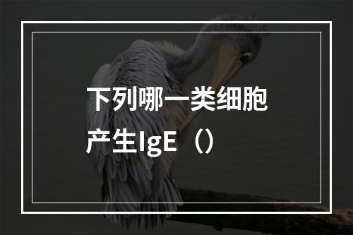 下列哪一类细胞产生IgE（）