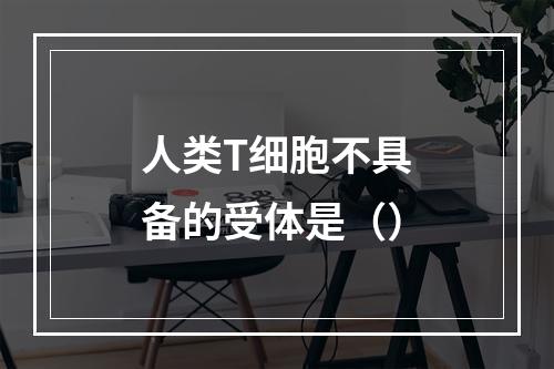 人类T细胞不具备的受体是（）