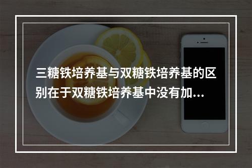 三糖铁培养基与双糖铁培养基的区别在于双糖铁培养基中没有加入（