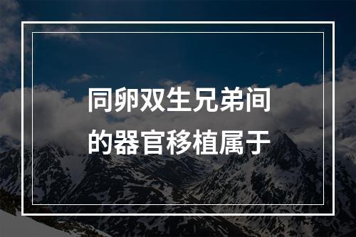 同卵双生兄弟间的器官移植属于