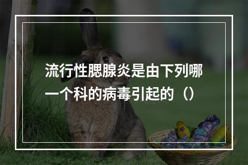 流行性腮腺炎是由下列哪一个科的病毒引起的（）