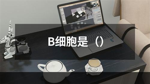 B细胞是（）