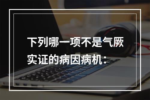 下列哪一项不是气厥实证的病因病机：