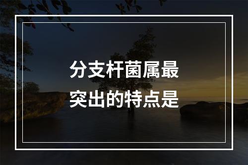 分支杆菌属最突出的特点是