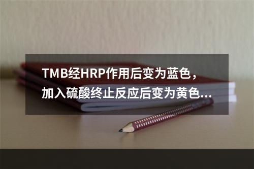 TMB经HRP作用后变为蓝色，加入硫酸终止反应后变为黄色，最