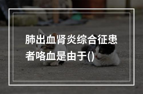 肺出血肾炎综合征患者咯血是由于()