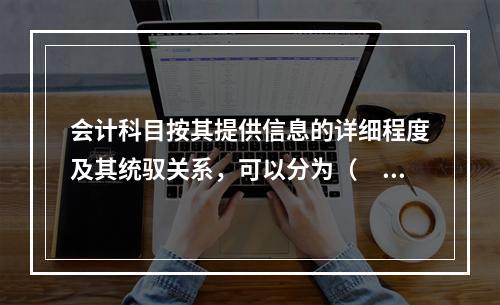 会计科目按其提供信息的详细程度及其统驭关系，可以分为（　　）