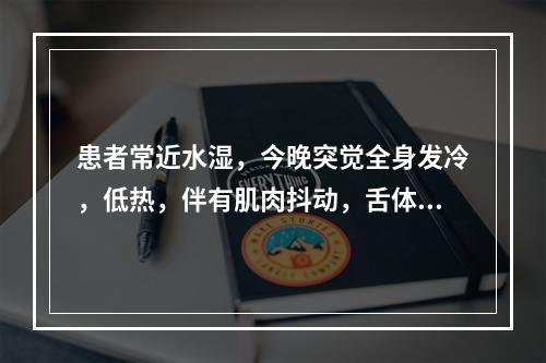 患者常近水湿，今晚突觉全身发冷，低热，伴有肌肉抖动，舌体麻木