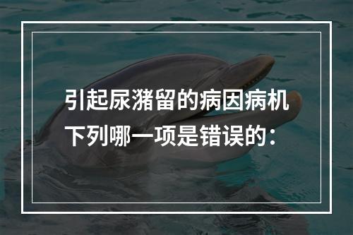 引起尿潴留的病因病机下列哪一项是错误的：