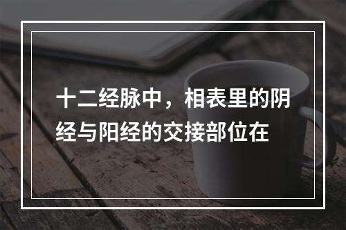 十二经脉中，相表里的阴经与阳经的交接部位在