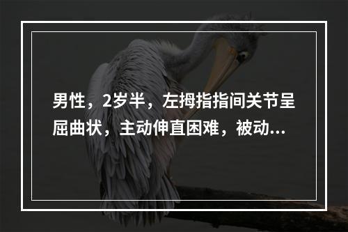 男性，2岁半，左拇指指间关节呈屈曲状，主动伸直困难，被动伸直