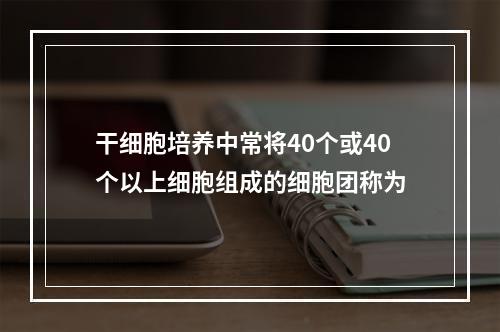 干细胞培养中常将40个或40个以上细胞组成的细胞团称为