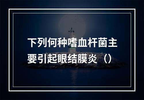 下列何种嗜血杆菌主要引起眼结膜炎（）