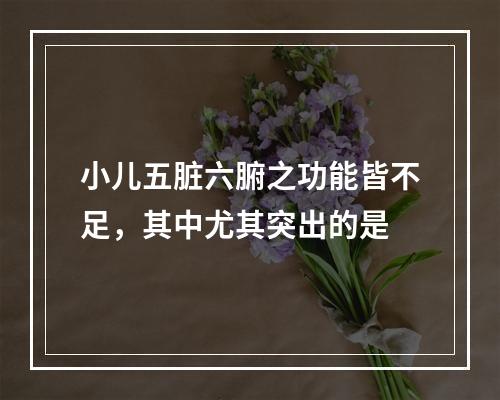 小儿五脏六腑之功能皆不足，其中尤其突出的是