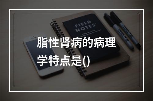 脂性肾病的病理学特点是()