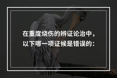 在重度烧伤的辨证论治中，以下哪一项证候是错误的：