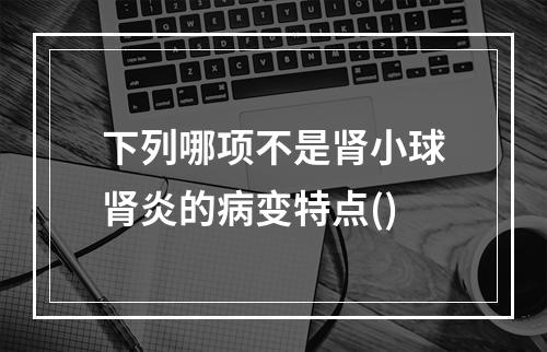 下列哪项不是肾小球肾炎的病变特点()