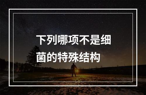 下列哪项不是细菌的特殊结构