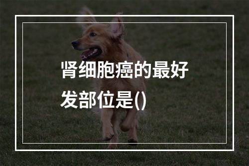 肾细胞癌的最好发部位是()