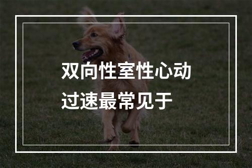 双向性室性心动过速最常见于