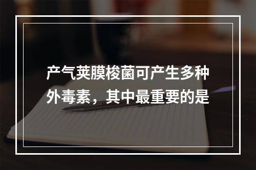 产气荚膜梭菌可产生多种外毒素，其中最重要的是