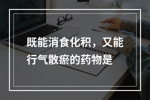 既能消食化积，又能行气散瘀的药物是