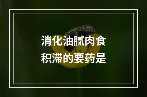 消化油腻肉食积滞的要药是