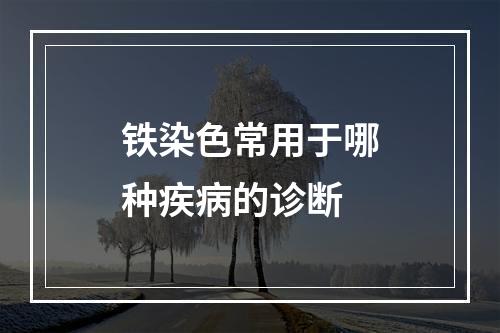 铁染色常用于哪种疾病的诊断