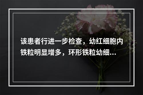 该患者行进一步检查，幼红细胞内铁粒明显增多，环形铁粒幼细胞4