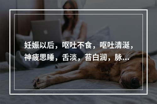 妊娠以后，呕吐不食，呕吐清涎，神疲思睡，舌淡，苔白润，脉缓滑