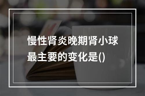 慢性肾炎晚期肾小球最主要的变化是()