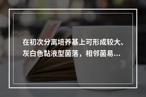 在初次分离培养基上可形成较大、灰白色黏液型菌落，相邻菌易发生