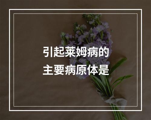 引起莱姆病的主要病原体是