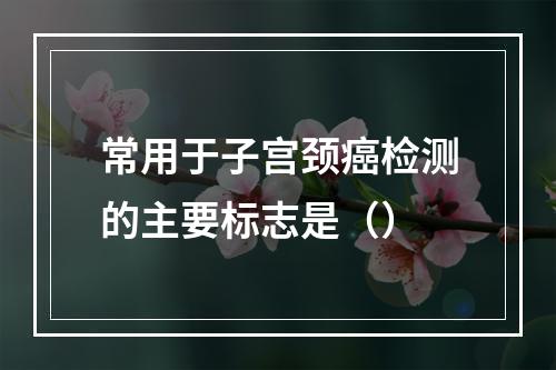 常用于子宫颈癌检测的主要标志是（）