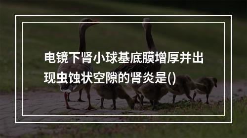 电镜下肾小球基底膜增厚并出现虫蚀状空隙的肾炎是()